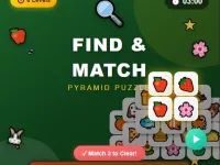 Find n Match image