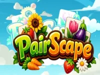 PairScape image